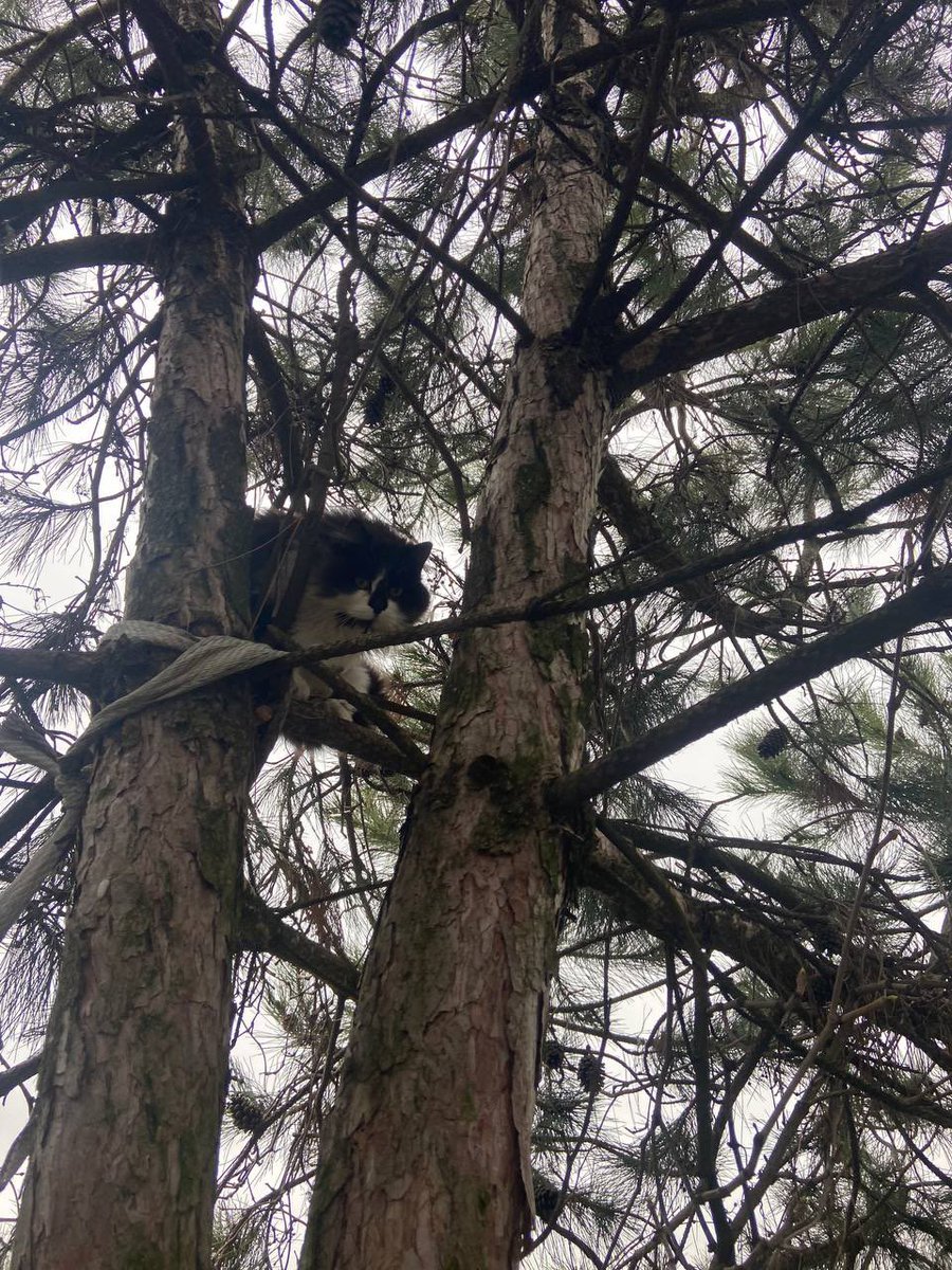 Nate Mook tweet media