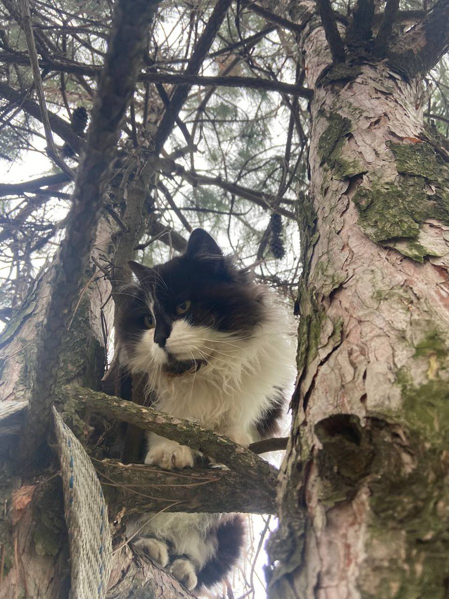 Nate Mook tweet media