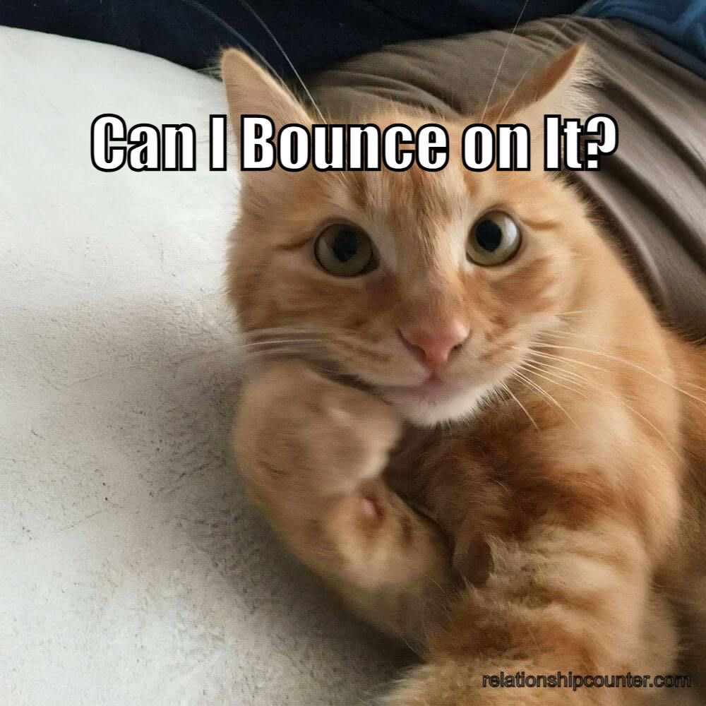 COWBOY ⭐️ KATHERIINE tweet media