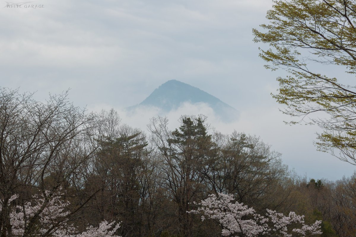 らびすけ tweet media