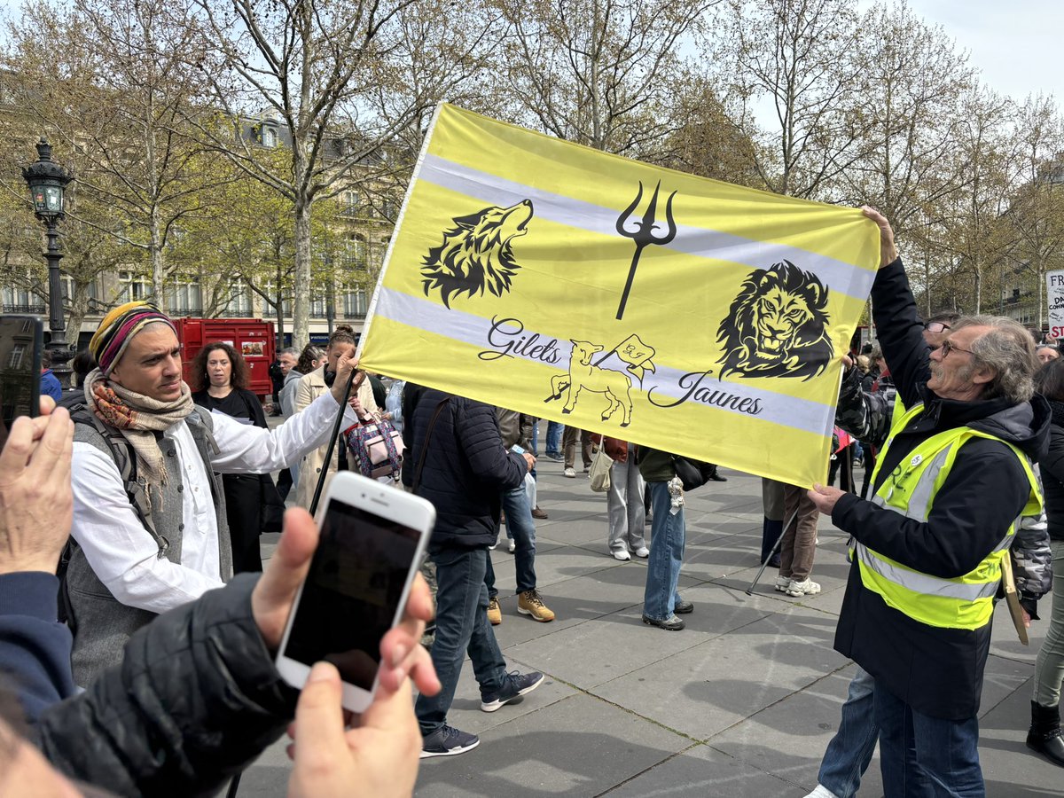 Phœnix 🎇 tweet media