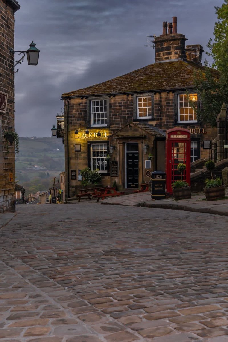 ReNature🦋 tweet media