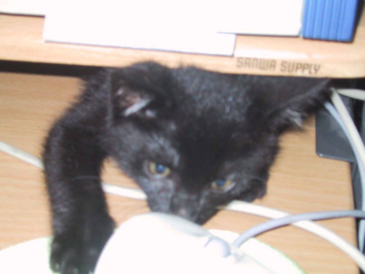 #これが0歳時代だ参ったか