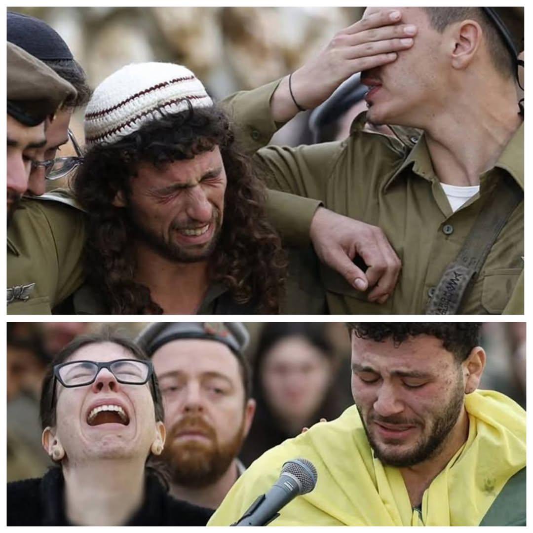 Dr Jose Cuauhtemoc Cervantes tweet media