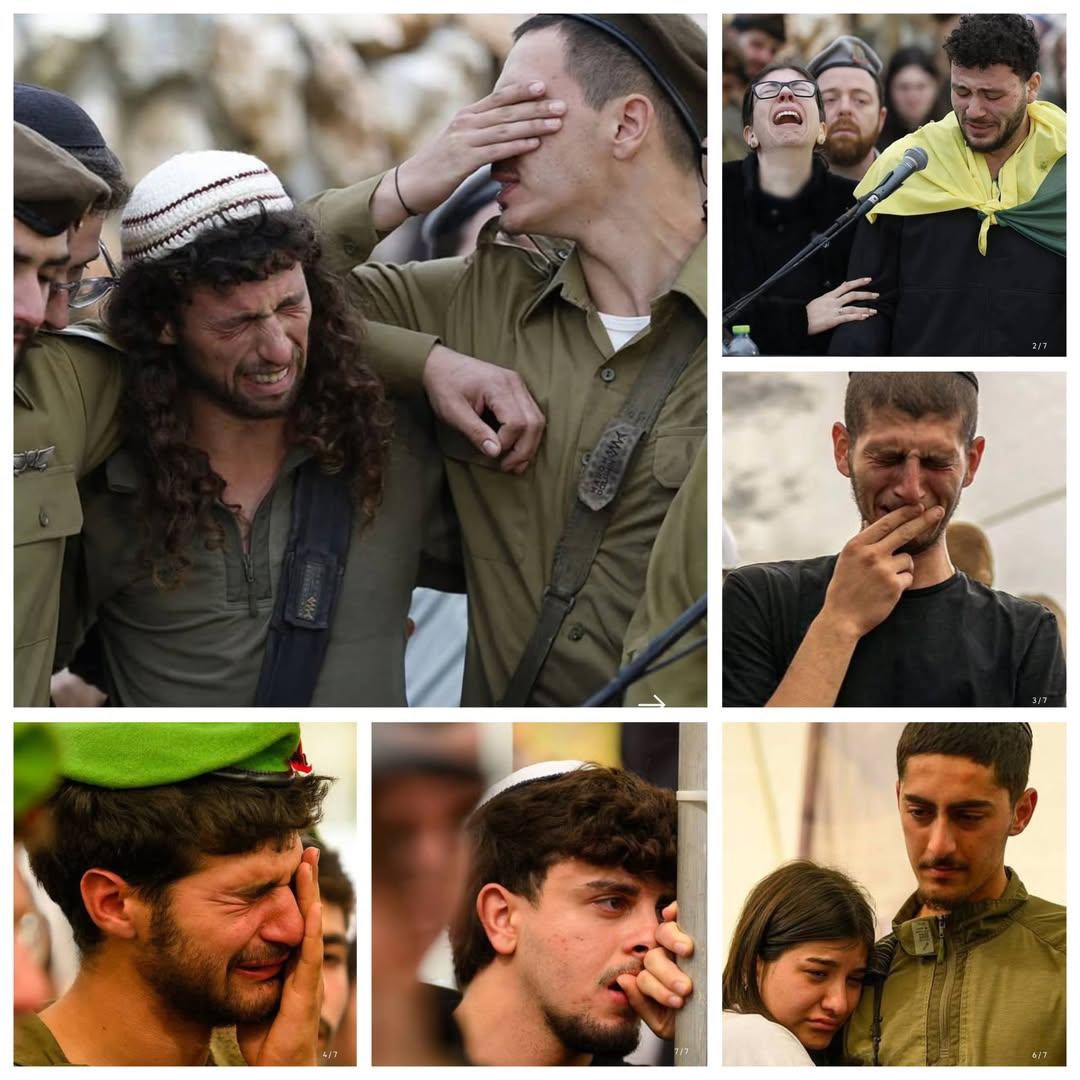 Dr Jose Cuauhtemoc Cervantes tweet media