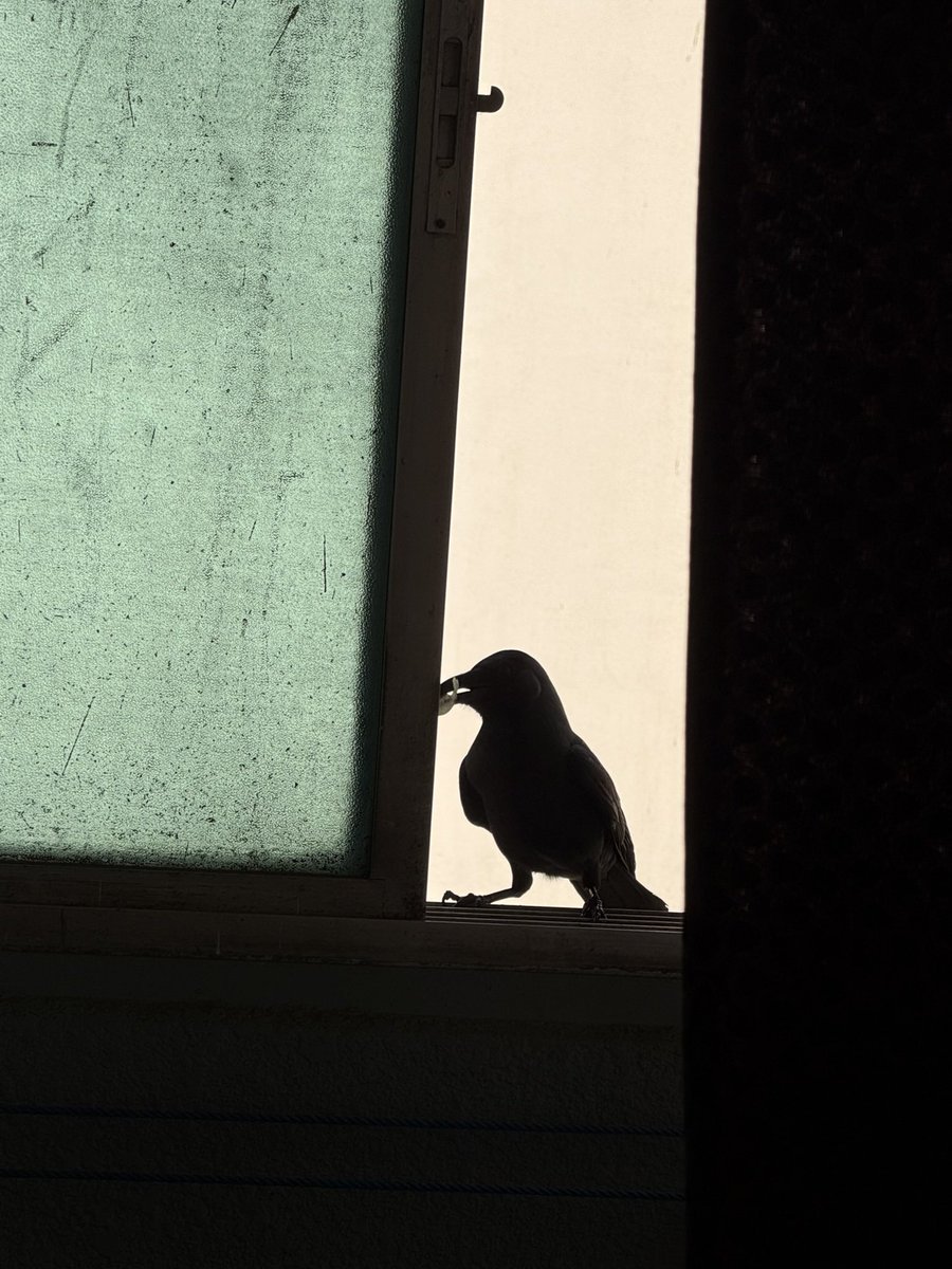 SlickClicks tweet media