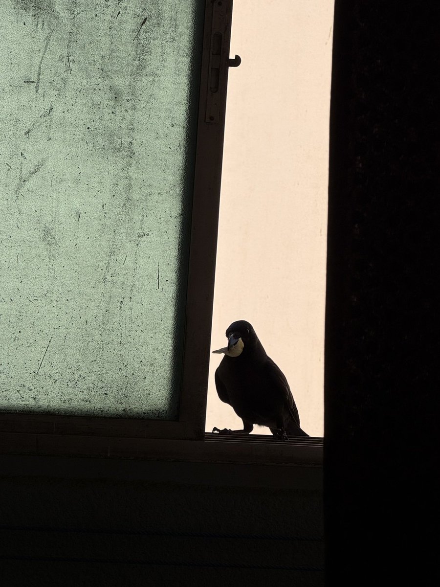 SlickClicks tweet media