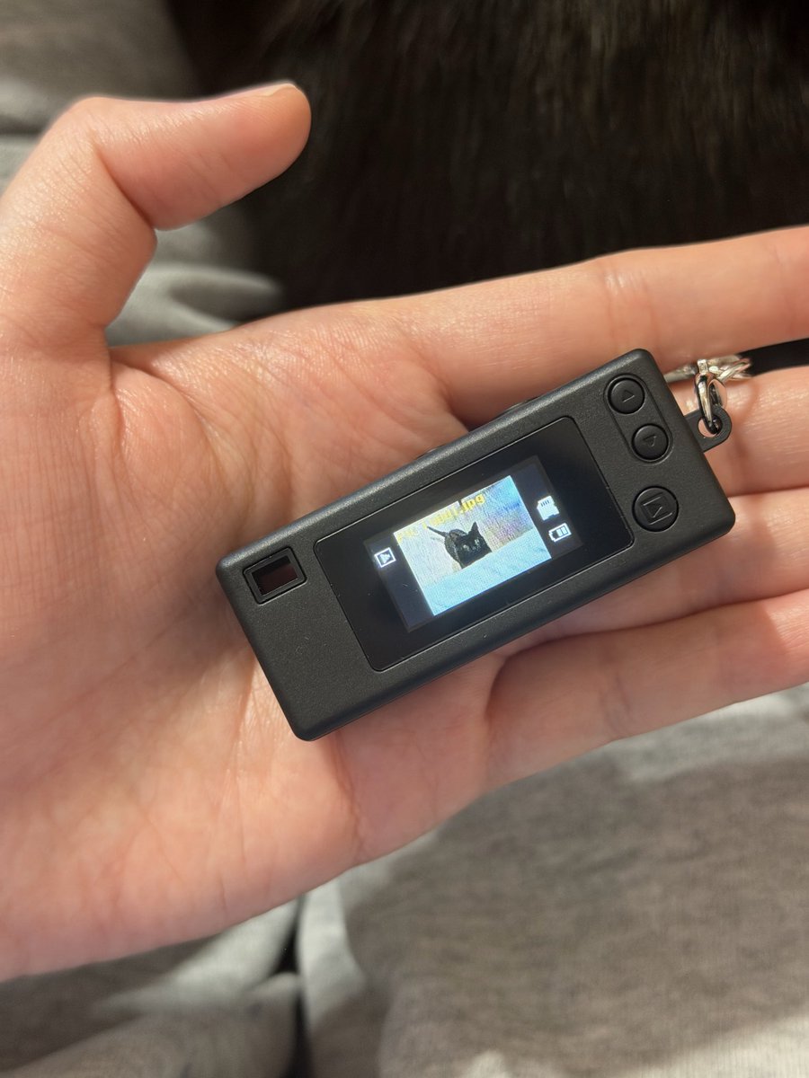 특대형공허 tweet media