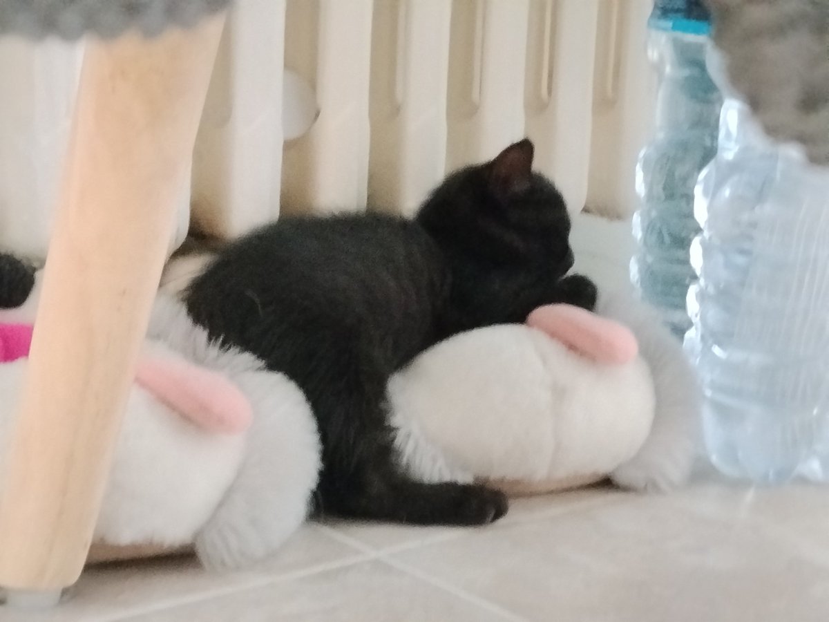 Final Mix tweet media