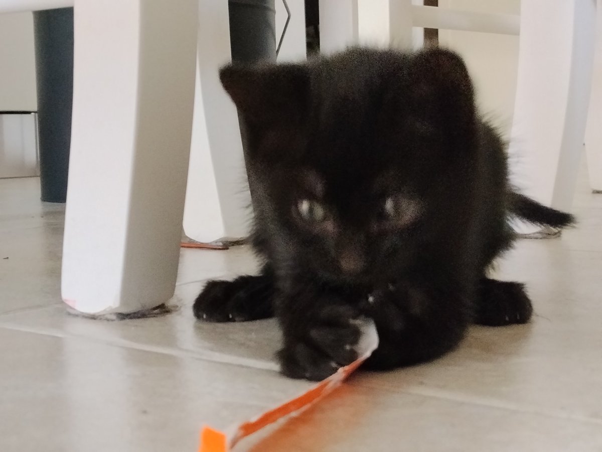 Final Mix tweet media