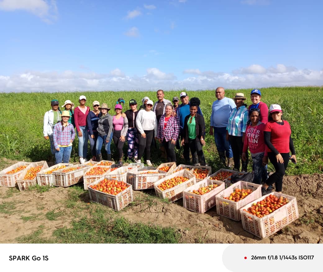 Jovenes trinitarios festejan el 4 de abril en jornada productiva.Felicidades.#SanctiSpíritusEnMarcha <a href="/AlexisLorente74/">Alexis Lorente Jiménez</a> <a href="/DeivyPrezMartn1/">Deivy Pérez Martín</a> <a href="/DiazCanelB/">Miguel Díaz-Canel Bermúdez</a> <a href="/SanctiSpiritus1/">Gobierno Provincial #SanctiSpíritus</a>