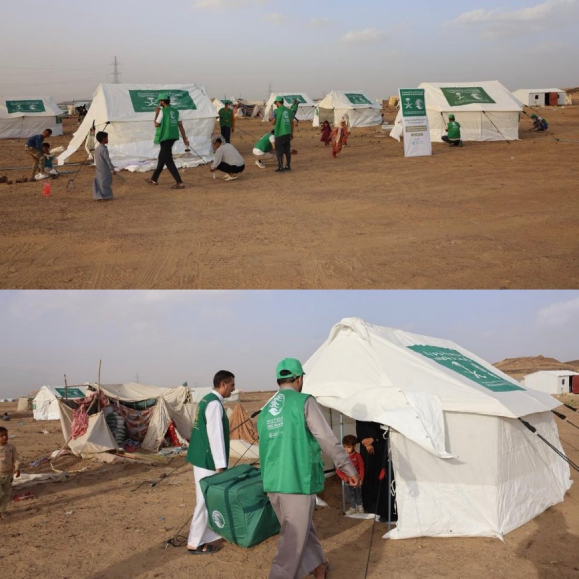 شؤون سياسية tweet media