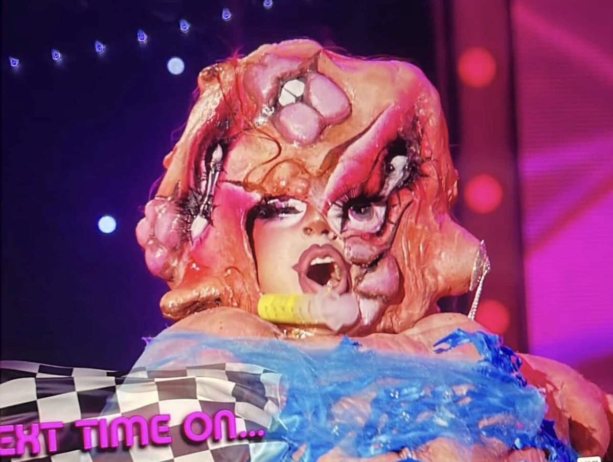 holly !! 🦚 tweet media