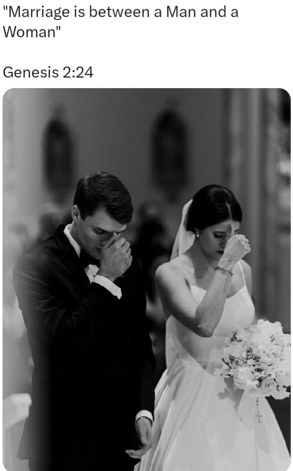 Nevja Bogatin tweet media