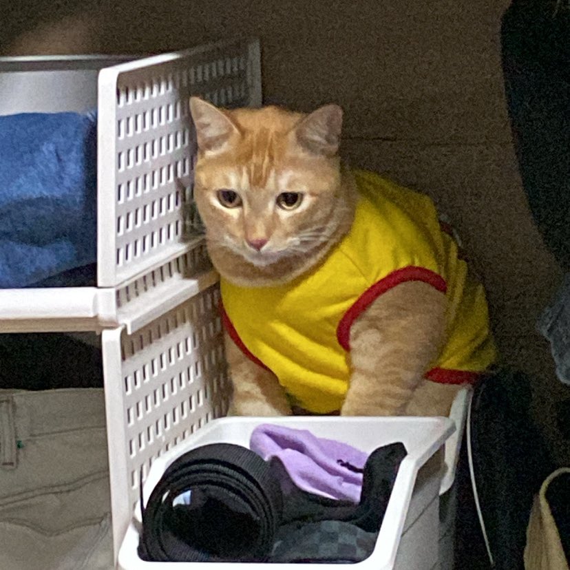 เอ้ย อึ่งอ่างเข้าตู้เสื้อผ้าได้ไงวะน่ะ