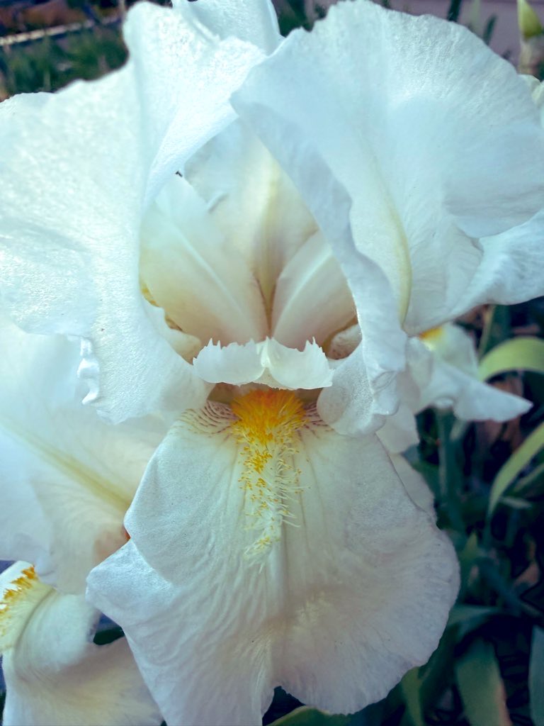 ESOTERIKA555 tweet media