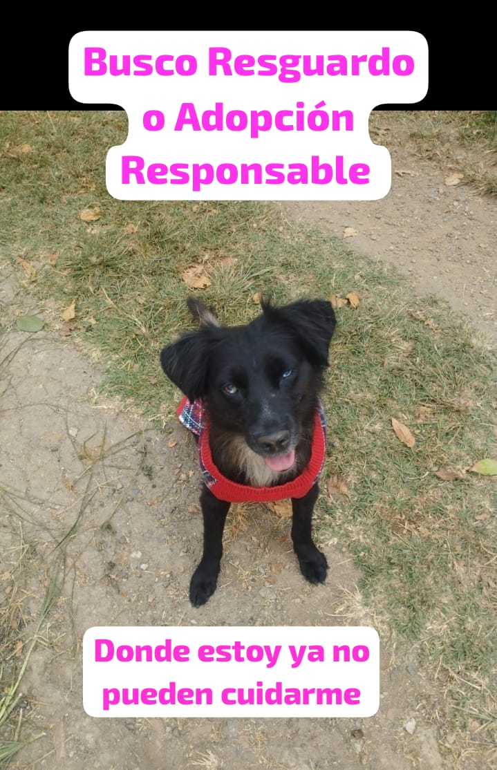 GRACE🇻🇪🆓 tweet media