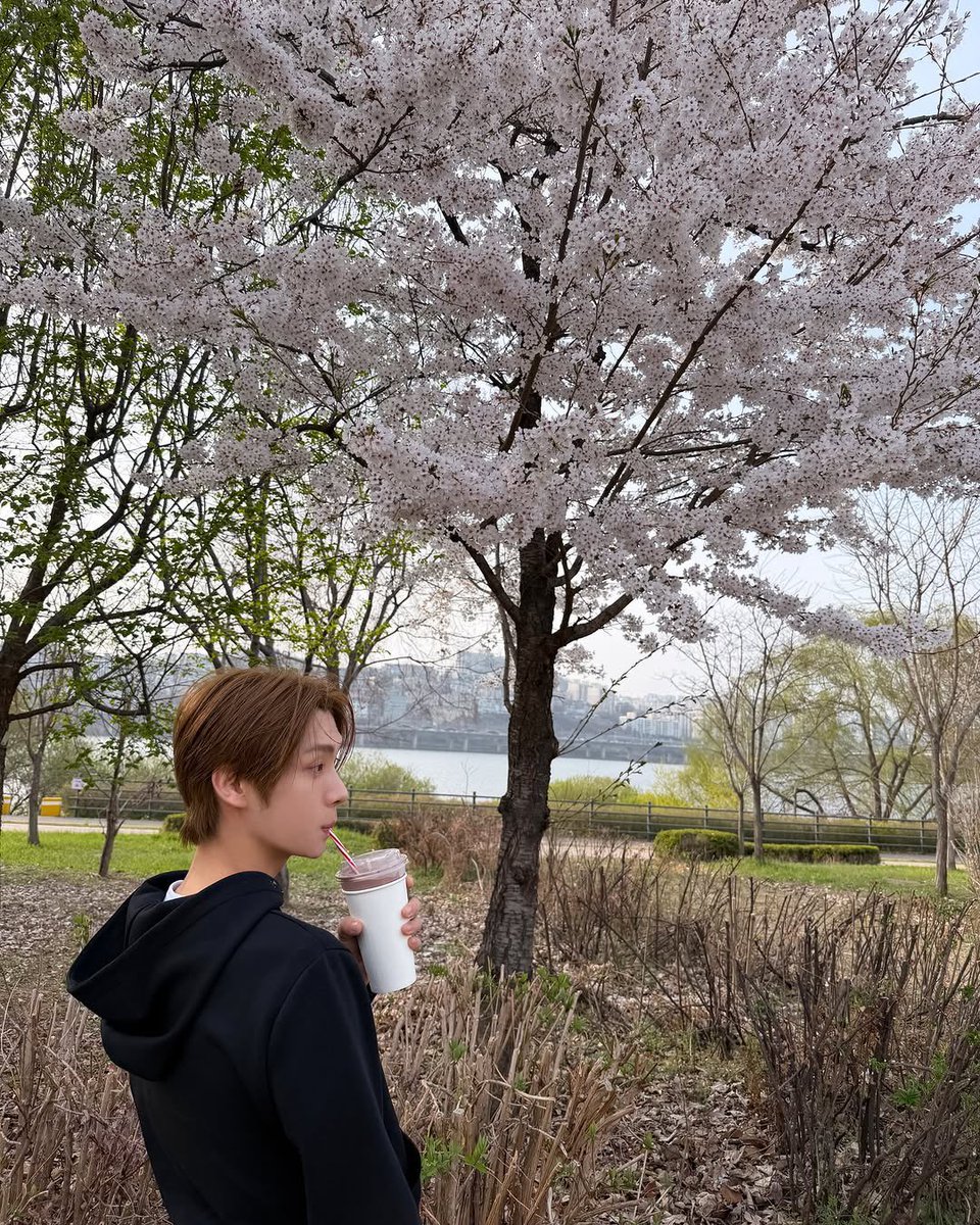 YoungGuinea247's tweet photo. Uyuppangz sharing a large drink from Yammy Cake on their date 

#신유 #SHINYU #シニュ #신정환
#투어스 #TWS #YOUNGJAE #영재 #ヨンジェ #우유빵즈 #Uyuppangz #milkbreadz https://t.co/iJSewMrMgy