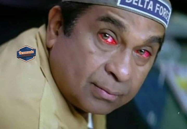 ๐ถ๏ธ tweet media