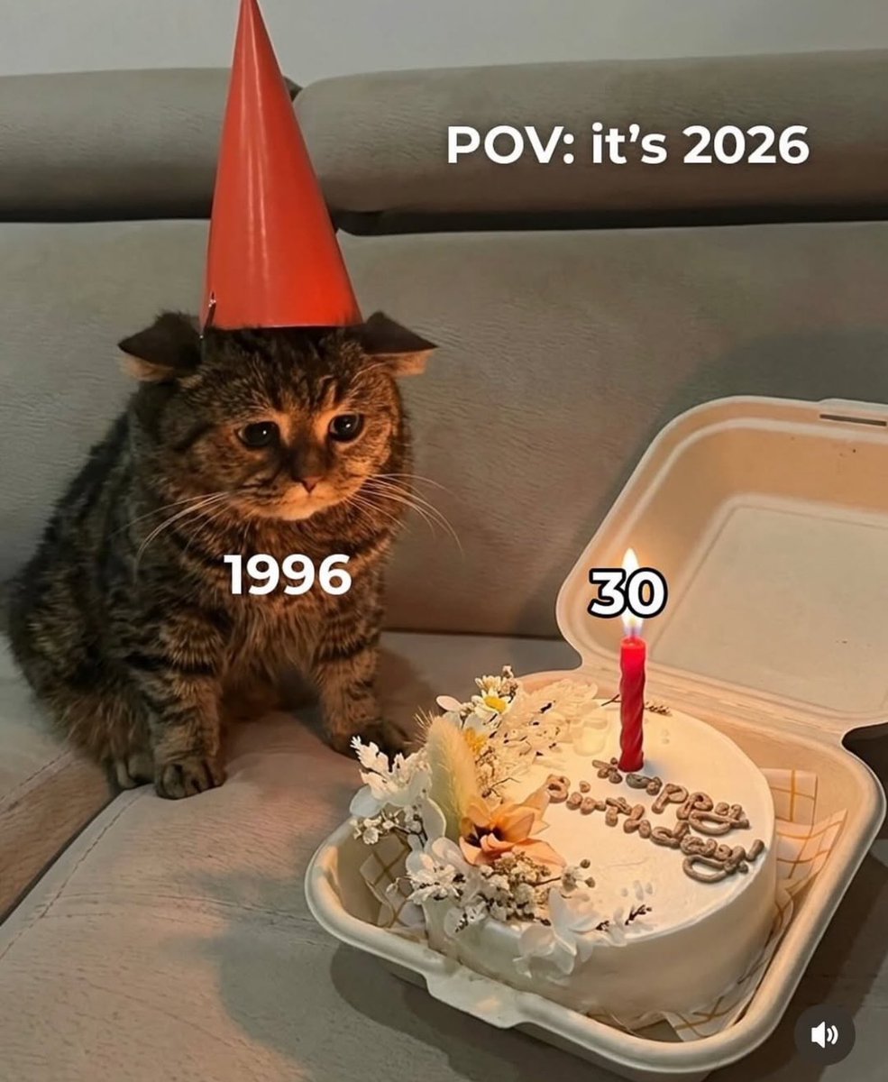 dashu | ダシュ tweet media