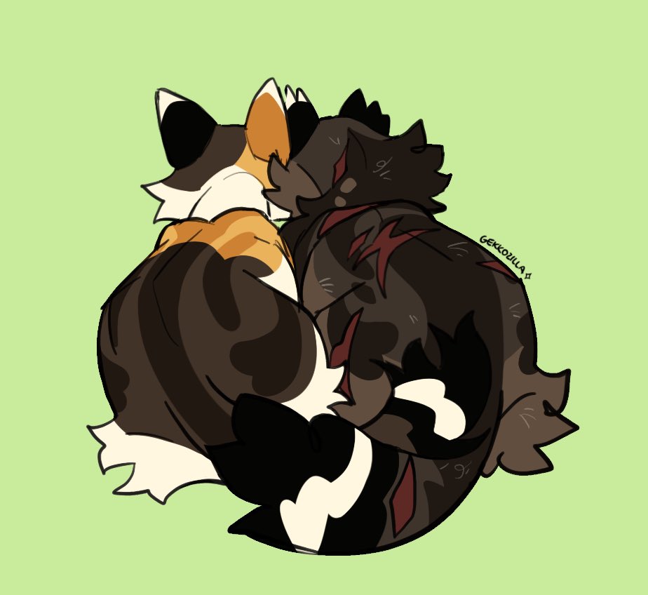 🌸 Gekkozilla 🌸 tweet media