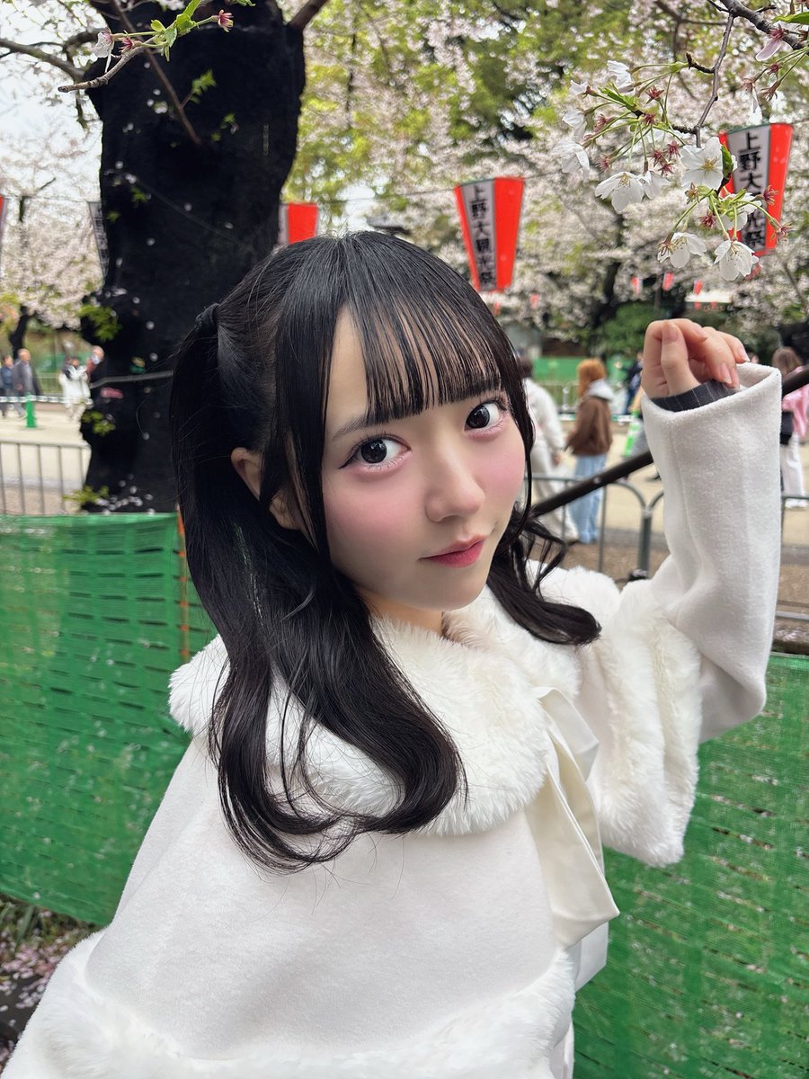 櫻井ほの @STAiNY 4/19(日)生誕祭🎂表参道GROUND tweet media