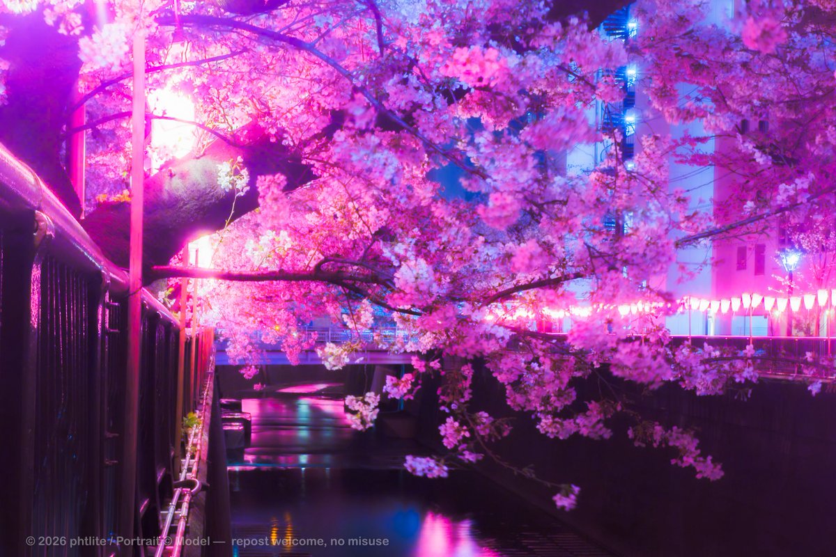 milklite tweet media