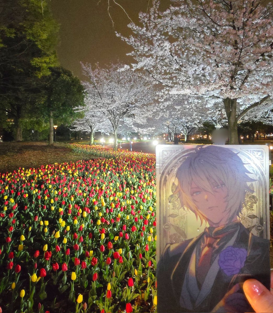 ゆきねこ@GNファーゆき(ファーさんの最愛の花嫁💍) tweet media