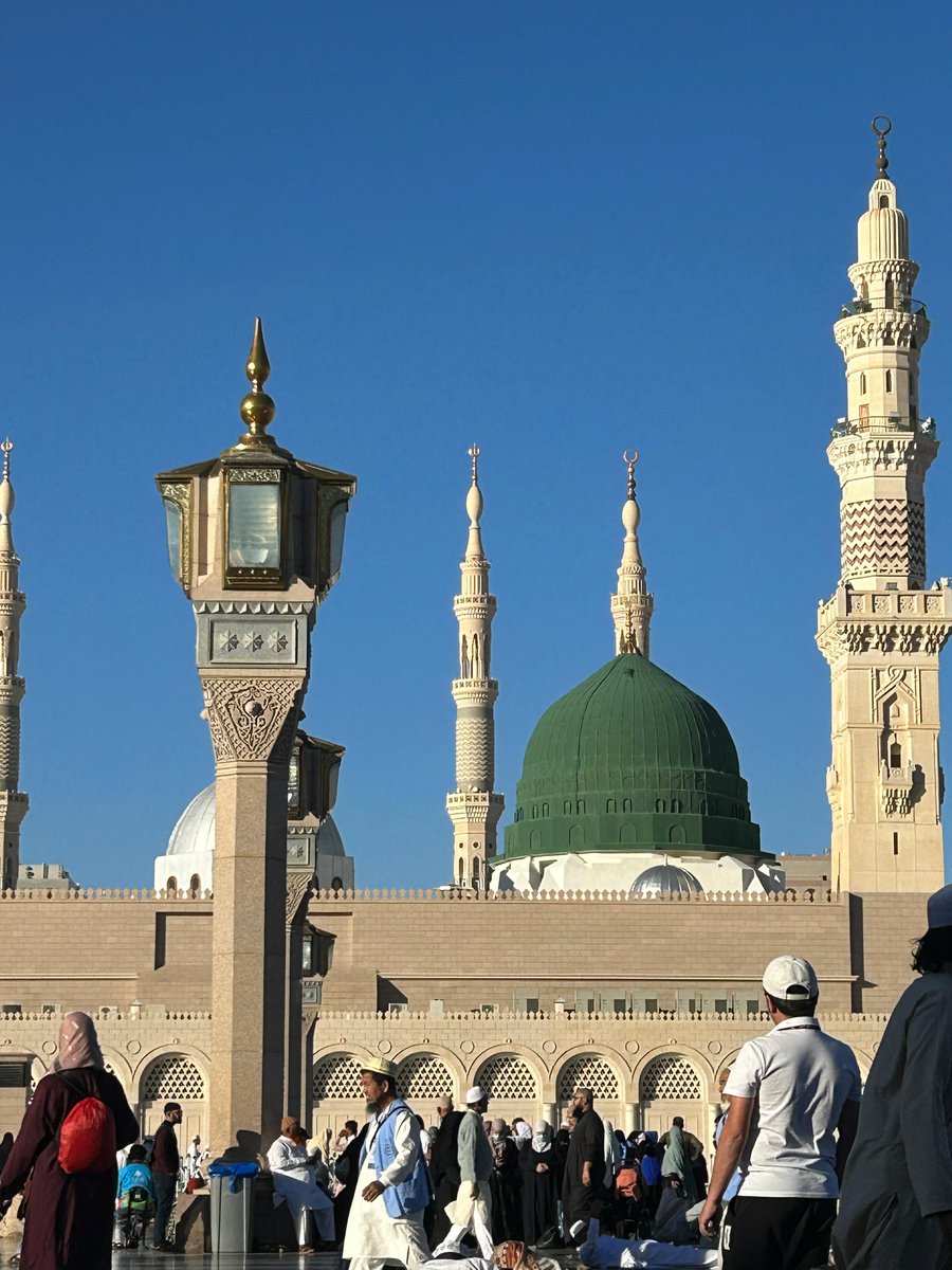 حايرونيسا tweet media