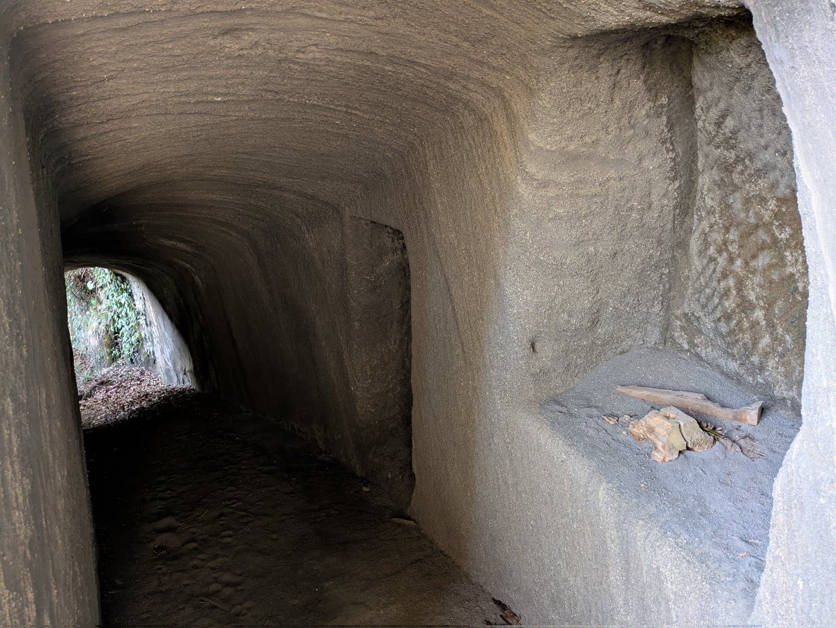 リンク tweet media