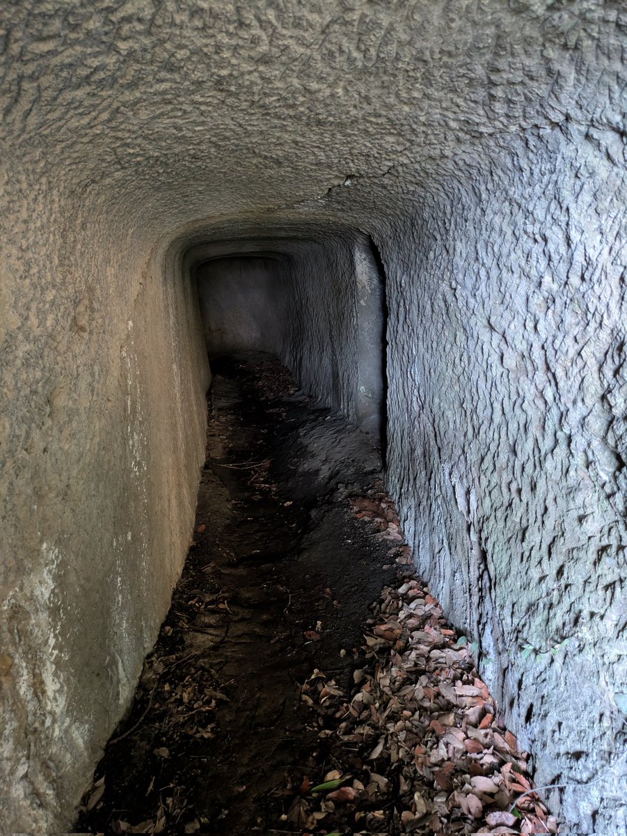 リンク tweet media