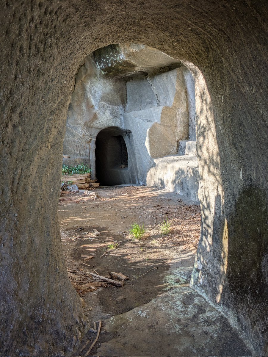 リンク tweet media