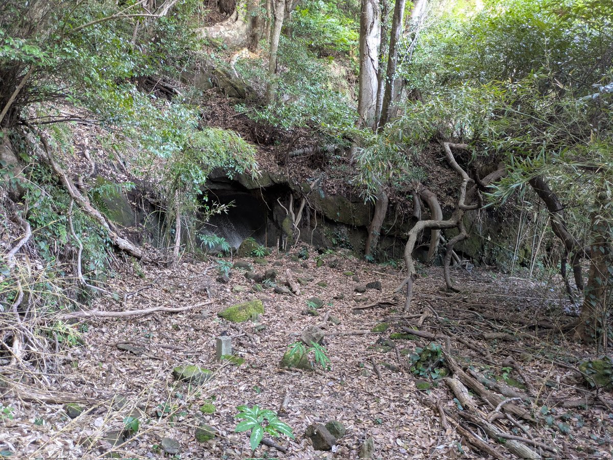 リンク tweet media