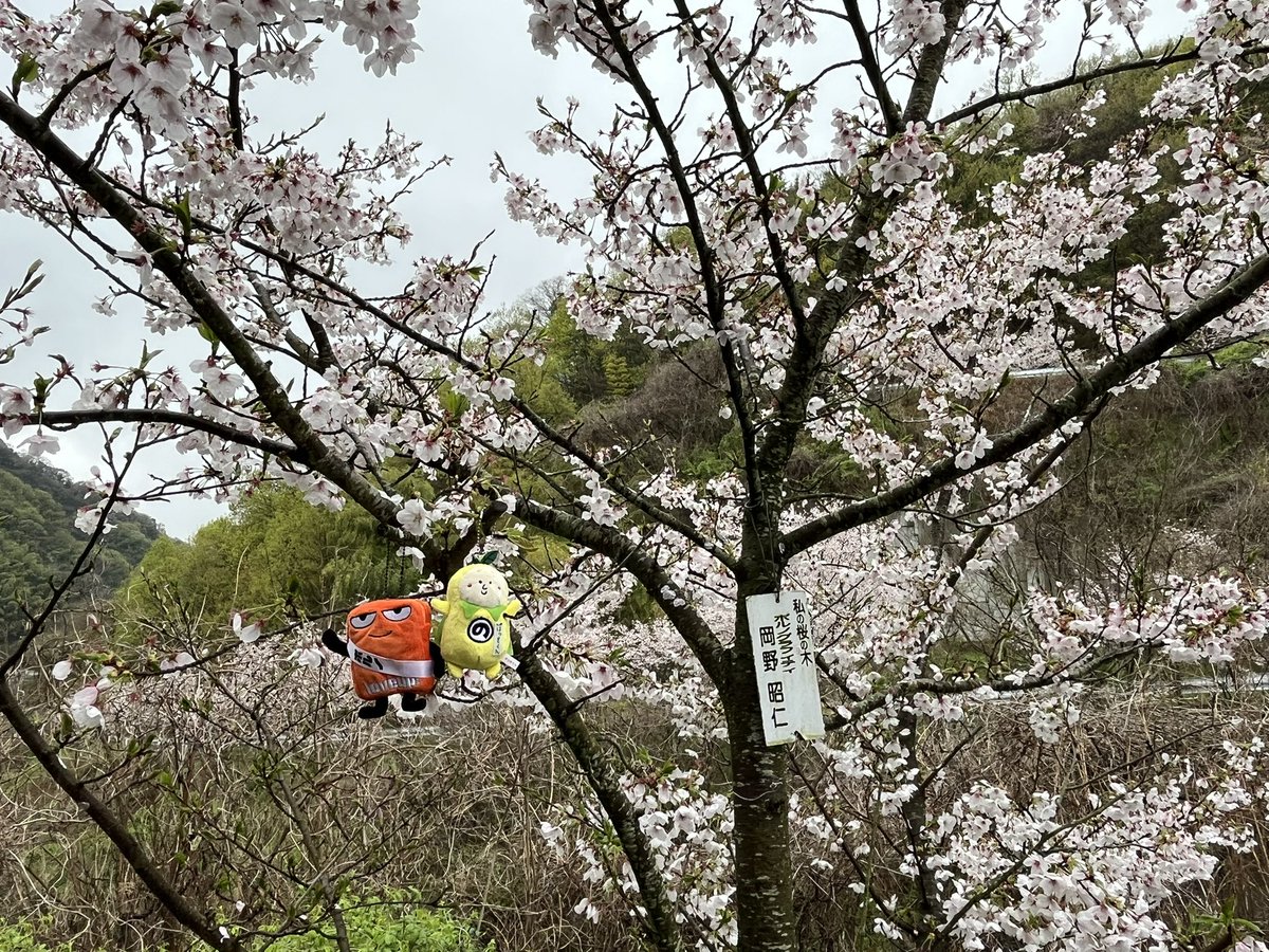 あんらぶ tweet media