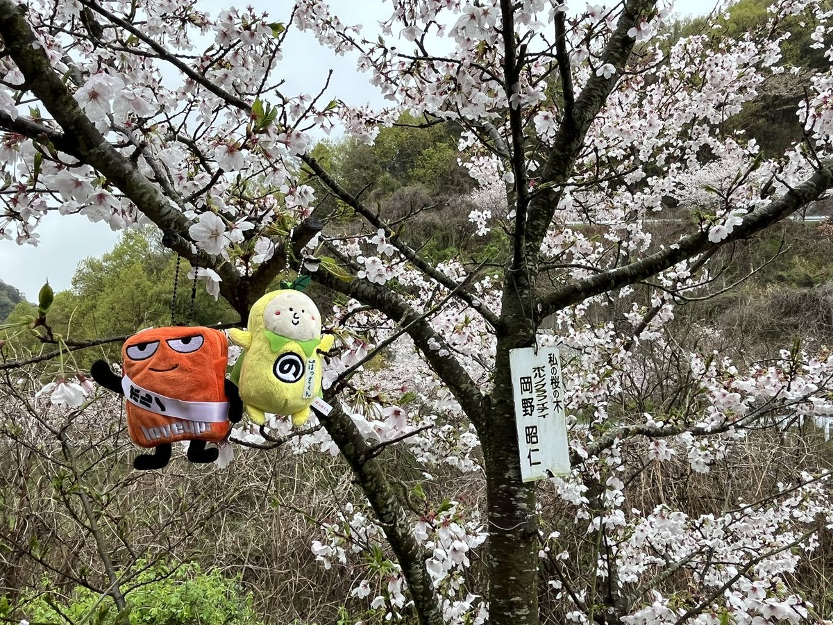 あんらぶ tweet media