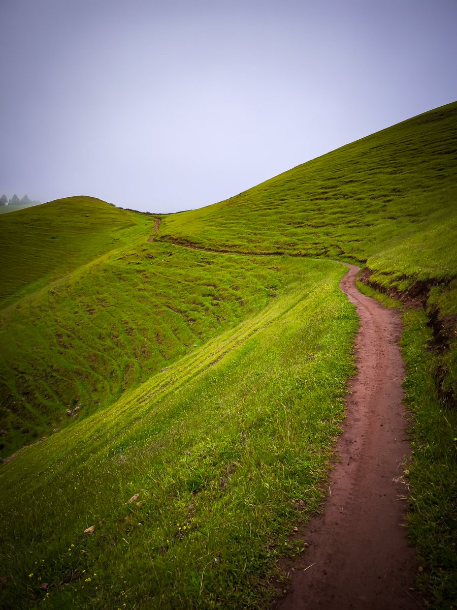 JM ᴄᴀɴᴀʀɪɪ ⵣ❂ tweet media