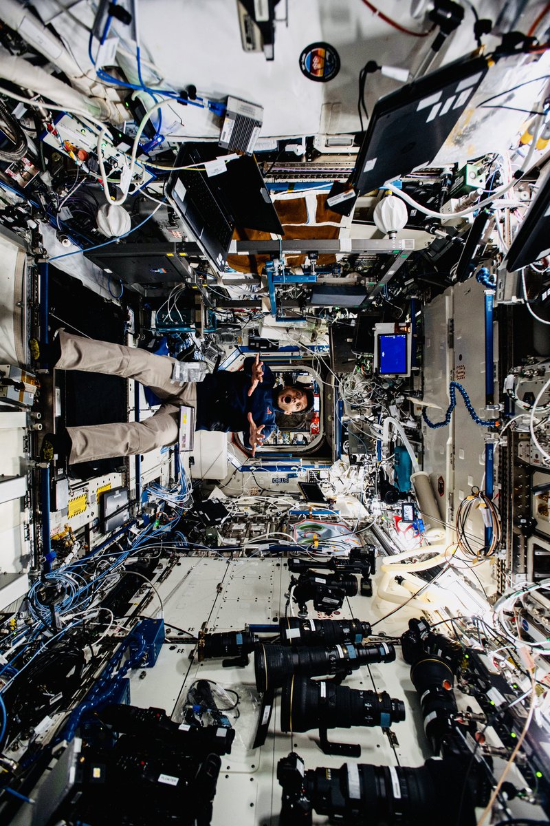 SpaceSignal tweet media