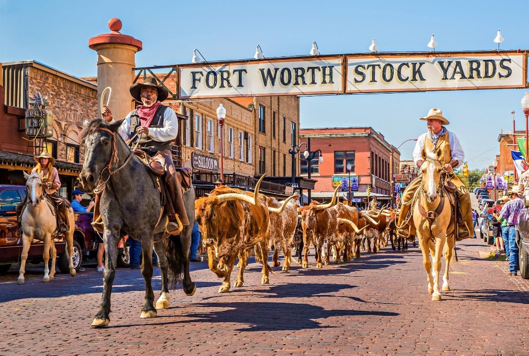 ワルダー tweet media