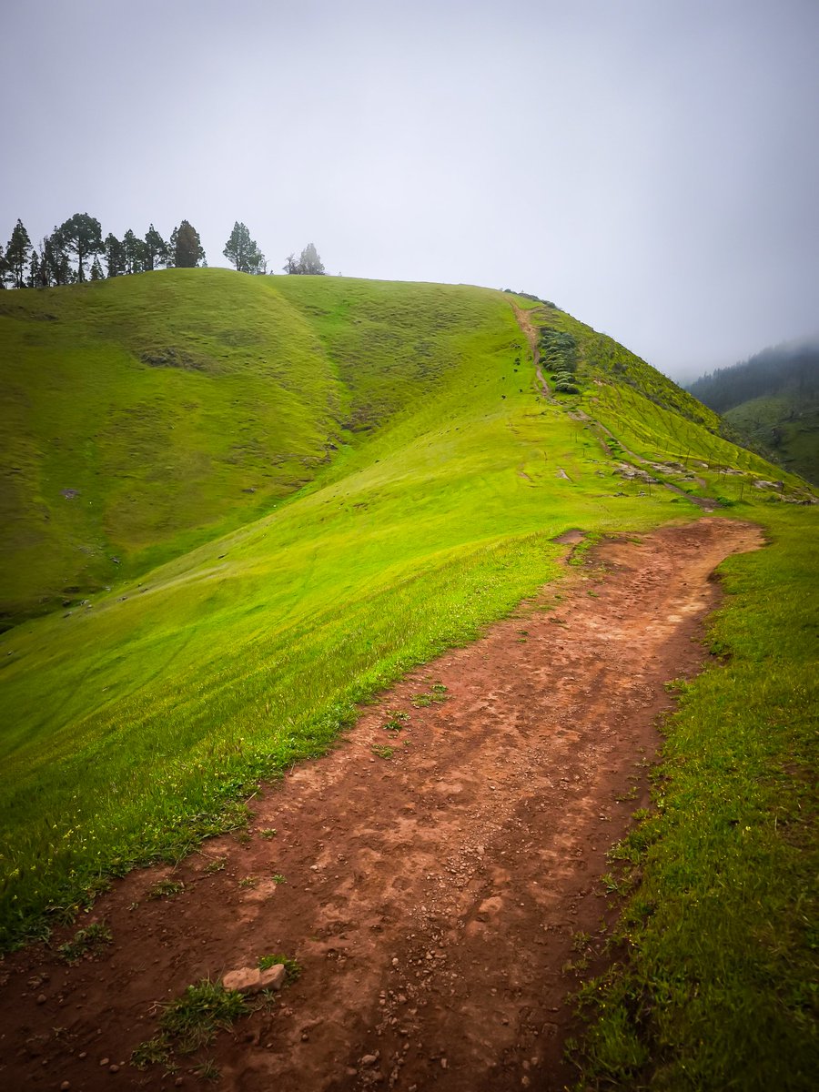 JM ᴄᴀɴᴀʀɪɪ ⵣ❂ tweet media