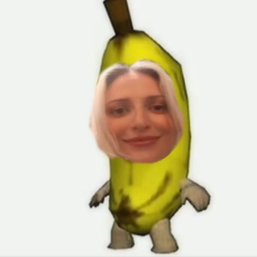 acervo emily marcia tweet media