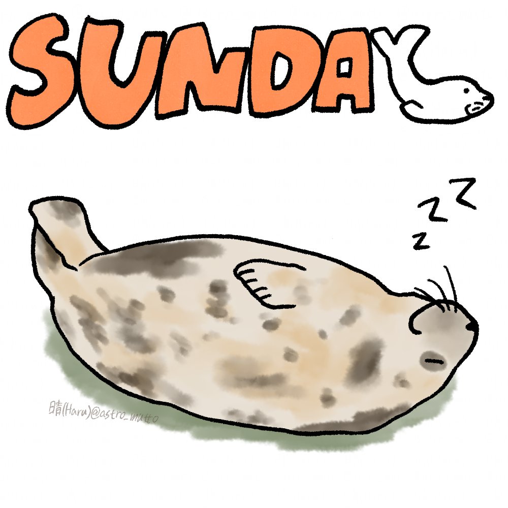 晴(Haru) tweet media