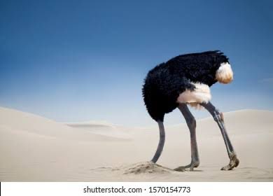 JOHN E. WATLEY III. tweet media