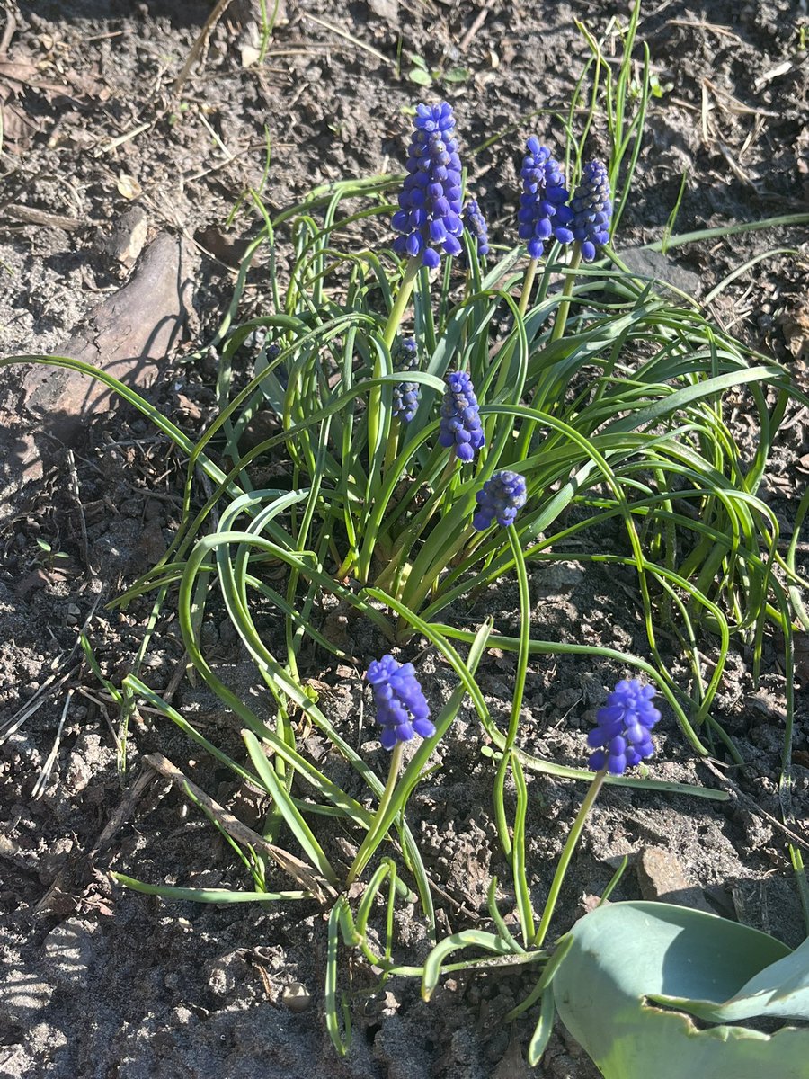 Valentyna tweet media