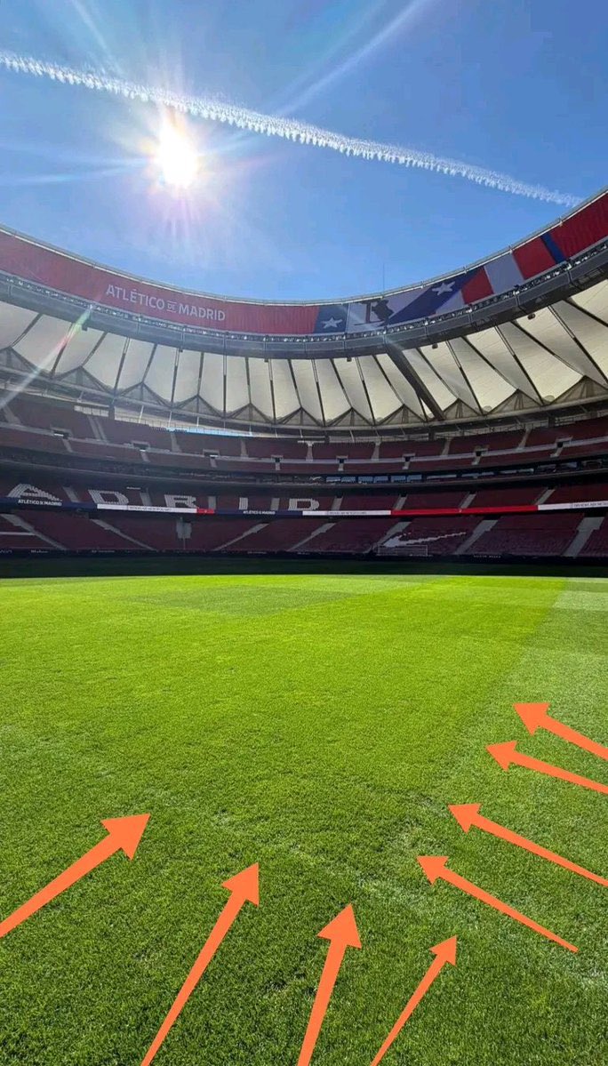 Pain.𝕏 tweet media