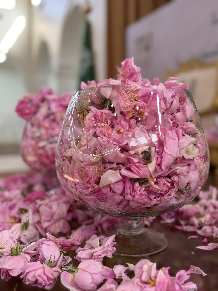 بندر الزايدي tweet media