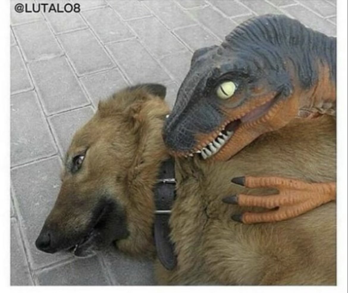 Devils Advy tweet media