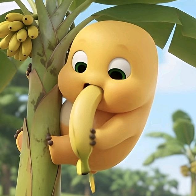 joohnnymu's tweet photo. @HB99YERI Mending pohon pisang yer, enak https://t.co/8ZtA9SpV5F
