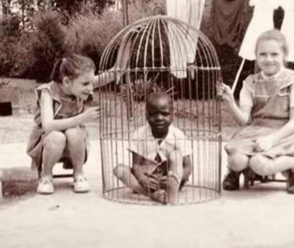 Biggest Mack tweet media