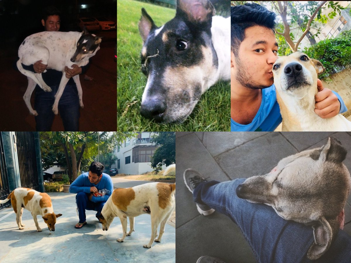 RahulSi98696083's tweet photo. Not all angels have homes.
Some are still waiting on the streets for a little kindness. 🐾
Feed them, don’t hit them.
Adopt, don’t shop.
#WorldStrayAnimalsDay #AdoptDontShop #StrayDogs #AnimalLovers #BeKindToAnimals #FeedStrays #AnimalRescue https://t.co/qiNvsTYJ0k