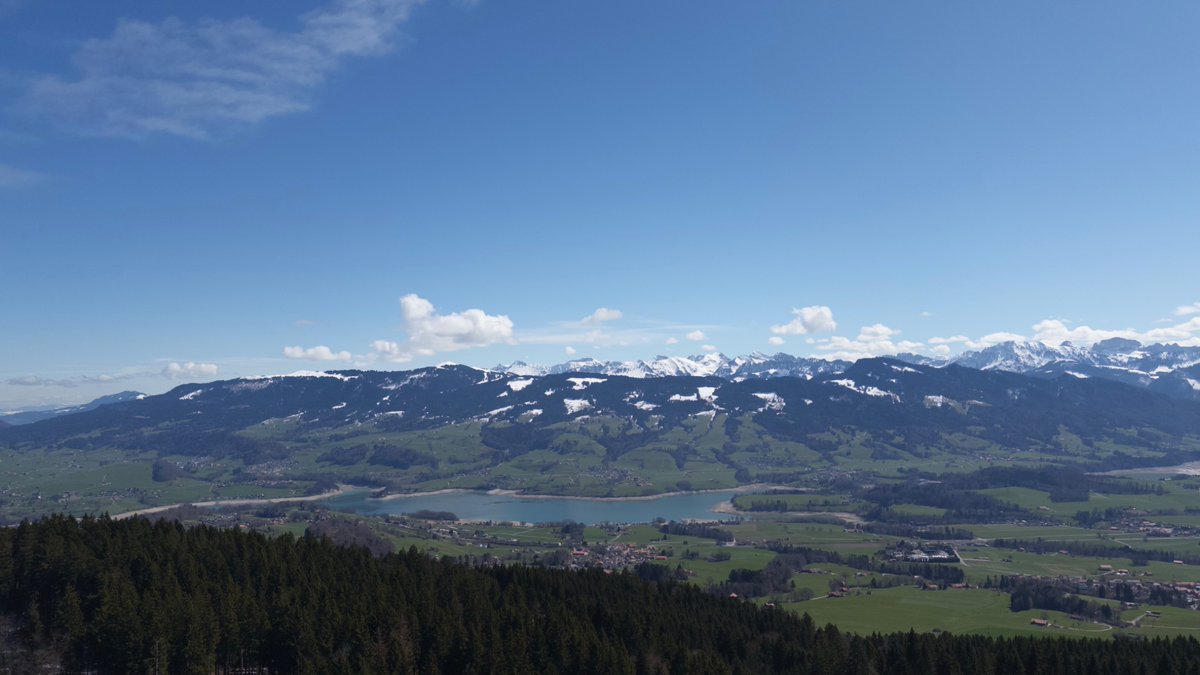 adv 🇨🇭🇯🇵 tweet media